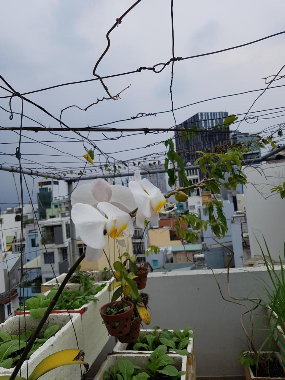 Urban House Saigon 2 Apartment Хошимин Екстериор снимка